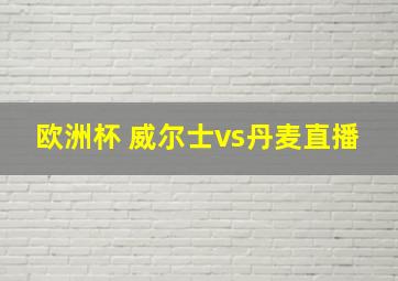 欧洲杯 威尔士vs丹麦直播